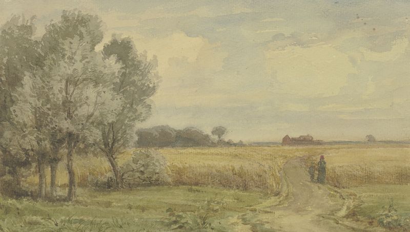 Cornfield in the summer by Peter Burnitz, oil on canvas depicting golden wheat and a blue sky