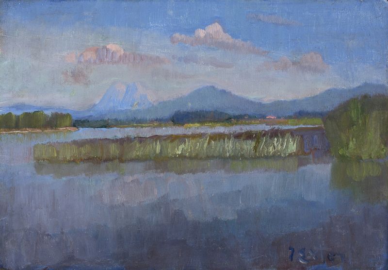 Landscape of Chiemseeufer by Julius Exter, impressionism, depicting shimmering waters and vibrant greens.