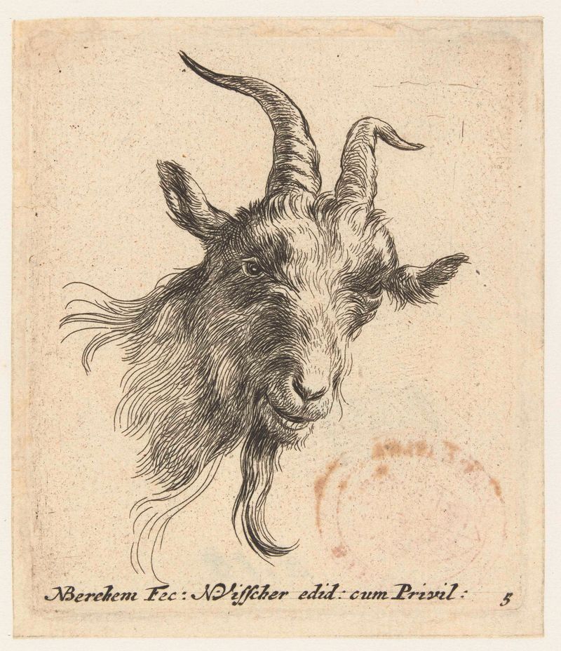 Cabeza de cabra en grabado de Nicolaes Pietersz Berchem, mostrando claroscuro.