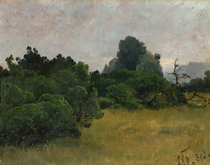 Watercolour by Carl Bolze depicting a forest with trees and foliage