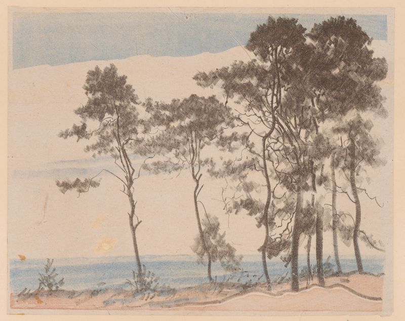Sosenki II de Leon Wyczółkowski, óleo sobre lienzo que representa un denso bosque con pinos y luz.