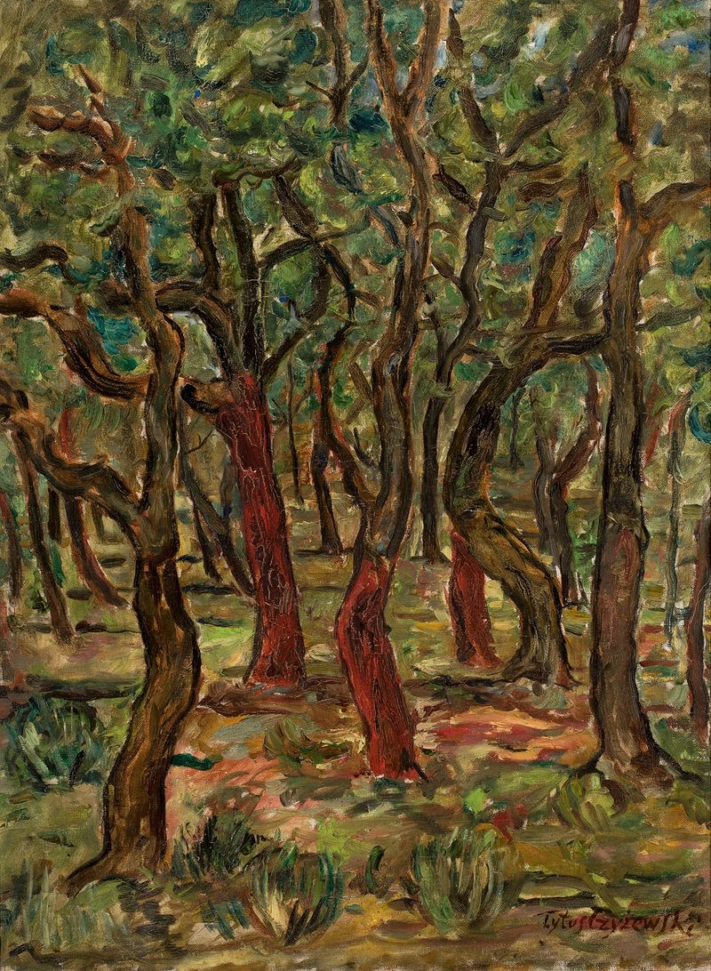 Forest by Tytus Czyżewski, expressionism, vibrant landscape with swirling forms