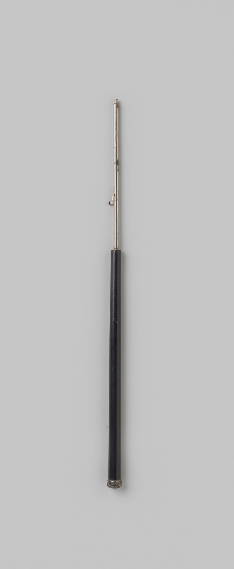 Mango de parasol de madera negra y botón plateado, estilo neo-Rococó, Unknown Artist