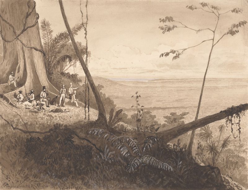 Cedar Point, Tamana by Michel Jean Cazabon, oil on canvas depicting lush hills and a wide sky.