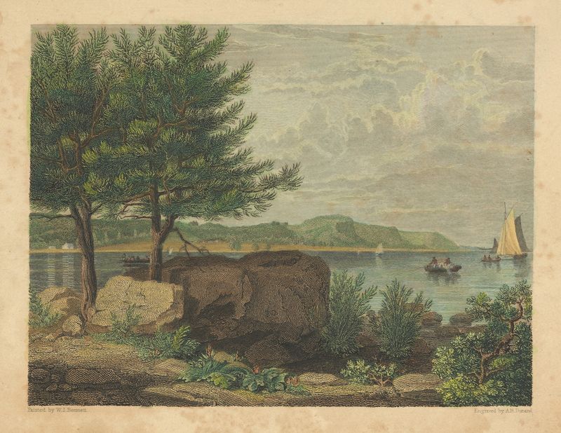 Paisagem de Asher Brown Durand, retratando uma vista vibrante com árvores e cores.