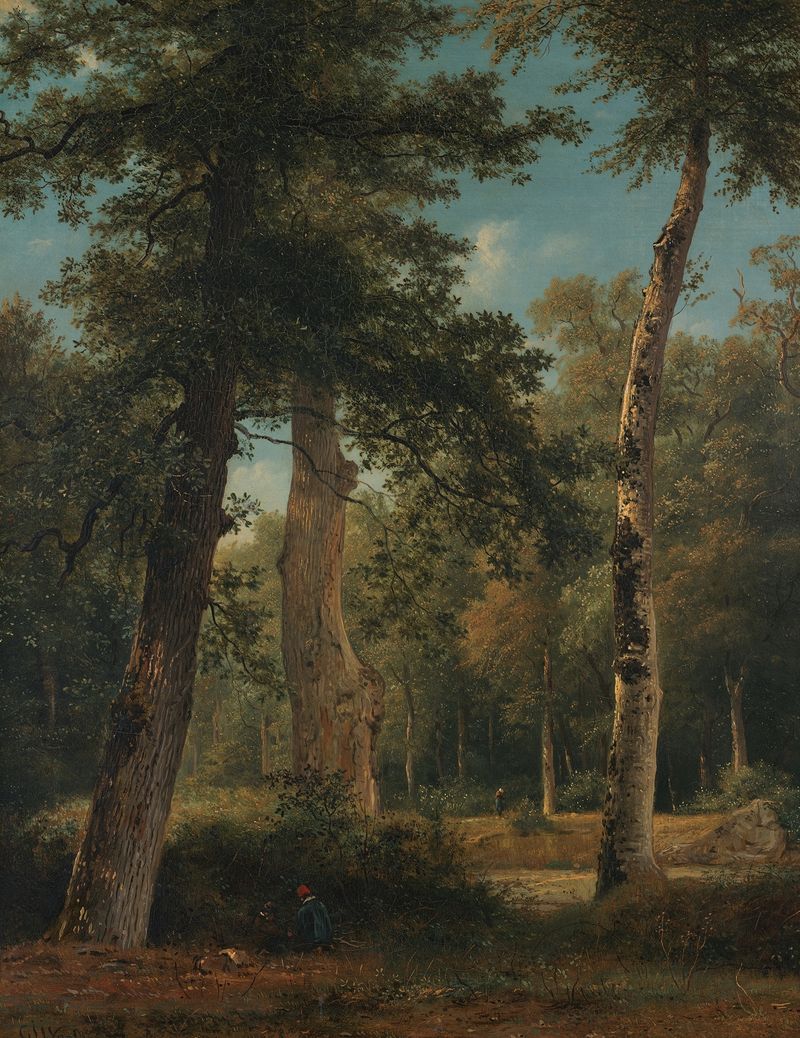 A forest scene with dappled sunlight, oil painting by Georgius Jacobus Johannes van Os
