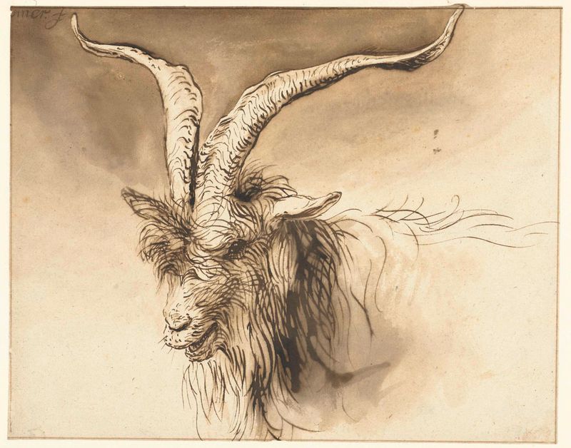 Head of a Dutch Landrace Goat by Lambert Doomer, oil on canvas