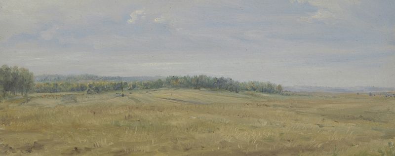 Flat landscape with meadows de Wilhelm Amandus Beer, pintura a óleo