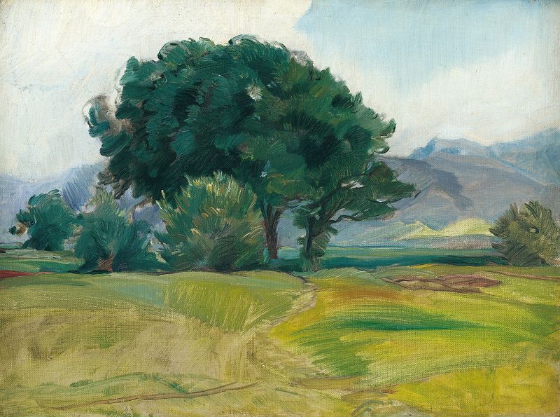 Landscape featuring trees and dappled light, oil painting by Hiasl Maier-Erding