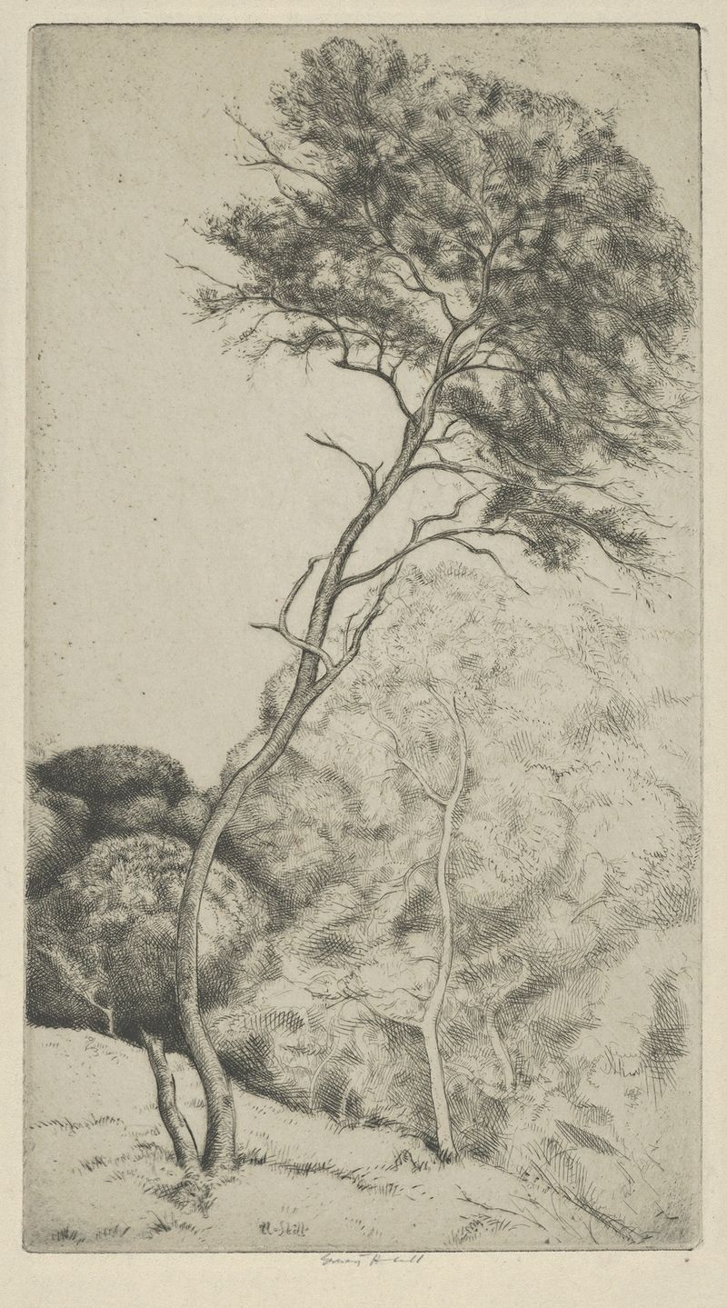 Obra figurativa de Ernest Haskell, que representa una figura en tela fluida, 1900-1925