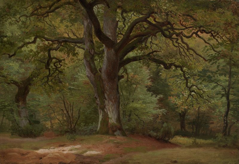 Eichenwald im Solling by Johann Wilhelm Schirmer, oil painting depicting a tranquil forest landscape.
