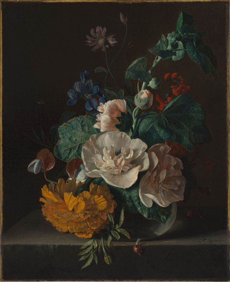 Floral Still Life with Hollyhock and Marigold, óleo sobre lienzo de Jan van Huysum II