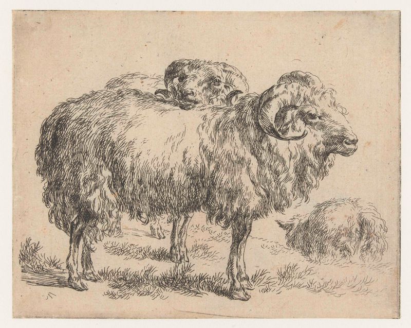 Etching by Nicolaes Pietersz Berchem depicting two rams and a sheep