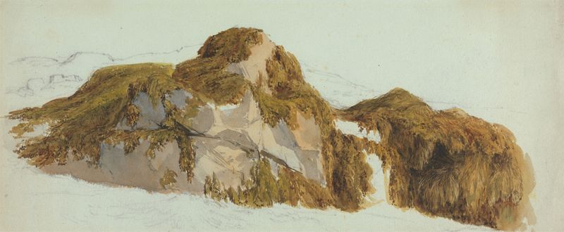 Study of Rocks Covered with Seaweed by Edward Duncan, depicting rocks and seaweed in a marine setting.
