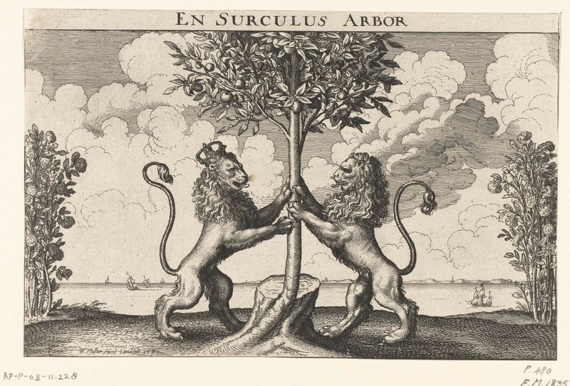 Allegorie op het huweljk tussen prins Willem II en Maria Stuart, grabado de Wenceslaus Hollar