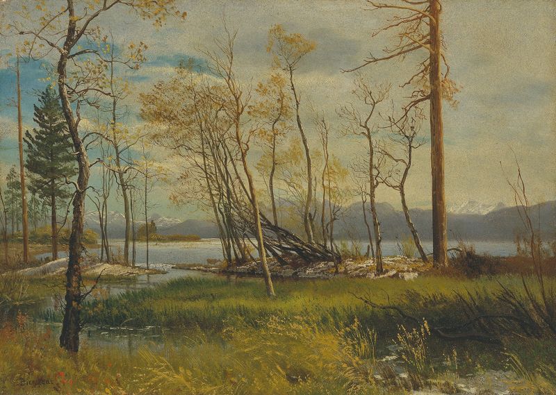 Lake Tahoe de Albert Bierstadt, óleo sobre lienzo que muestra reflejos serenos del lago y montañas.