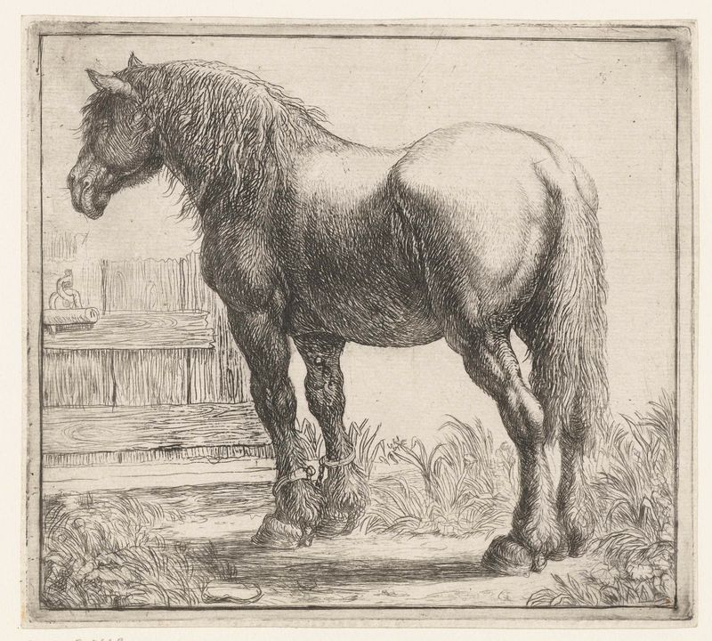 Aguafuerte de Simon de Vlieger que muestra un caballo cerca de una cerca en un paisaje.