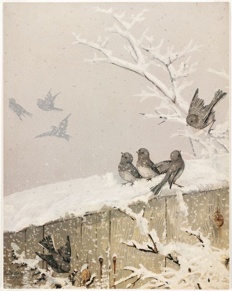 January II by Fidelia Bridges, watercolor on paper, features snow-covered branches against a pale blue sky.