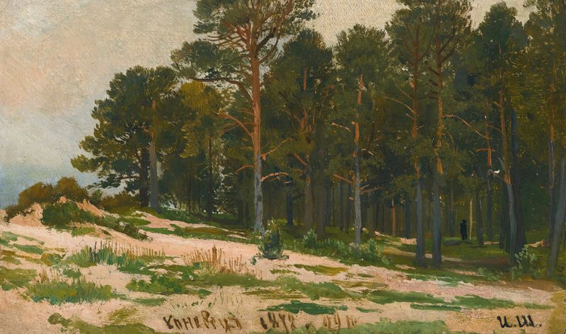 Pine Forest by Ivan Ivanovich Shishkin, oil painting of towering trees and dappled light.