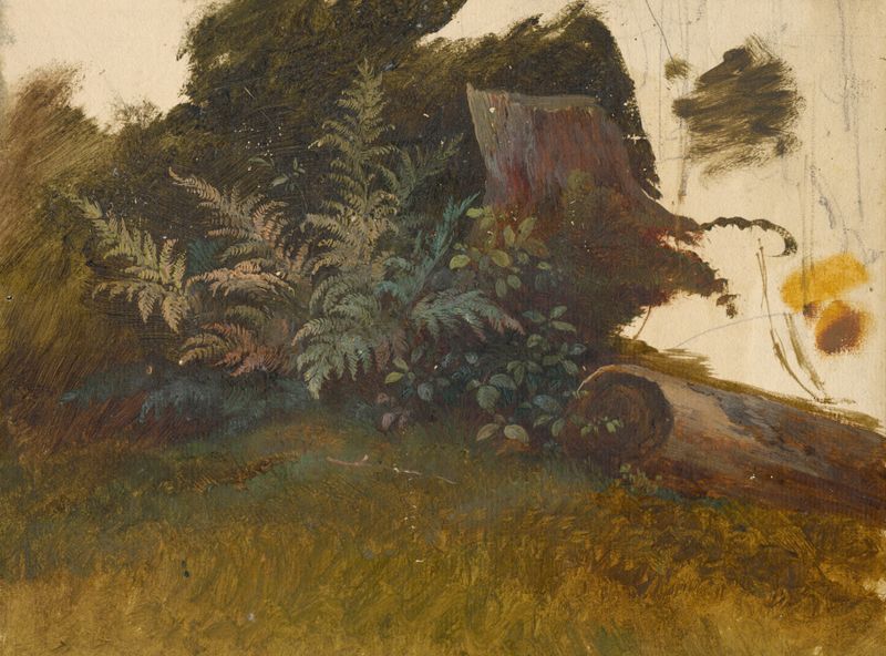 Mountain Vegetation by Friedrich Carl von Scheidlin, oil on canvas showing dense foliage.