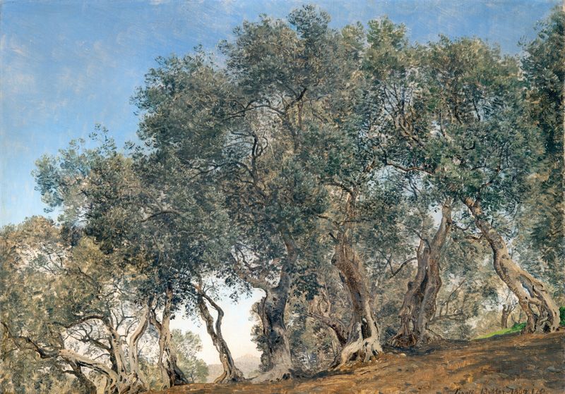 Olive Grove at Tivoly, Italy de Janus la Cour, óleo sobre tela representando oliveiras exuberantes.