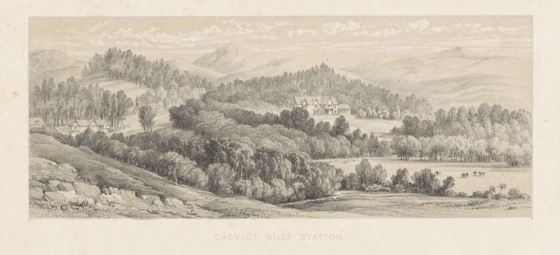 Gravura de Charles Decimus Barraud mostrando a estação Cheviot Hills com colinas verdes e sombras.
