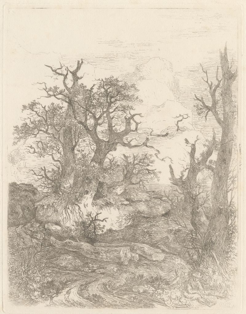Landscape with Oak Trees by John Crome, oil painting depicting oak trees and dappled light.
