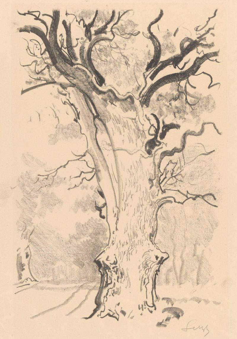 Oil painting by Leon Wyczółkowski featuring an ancient oak tree and golden light