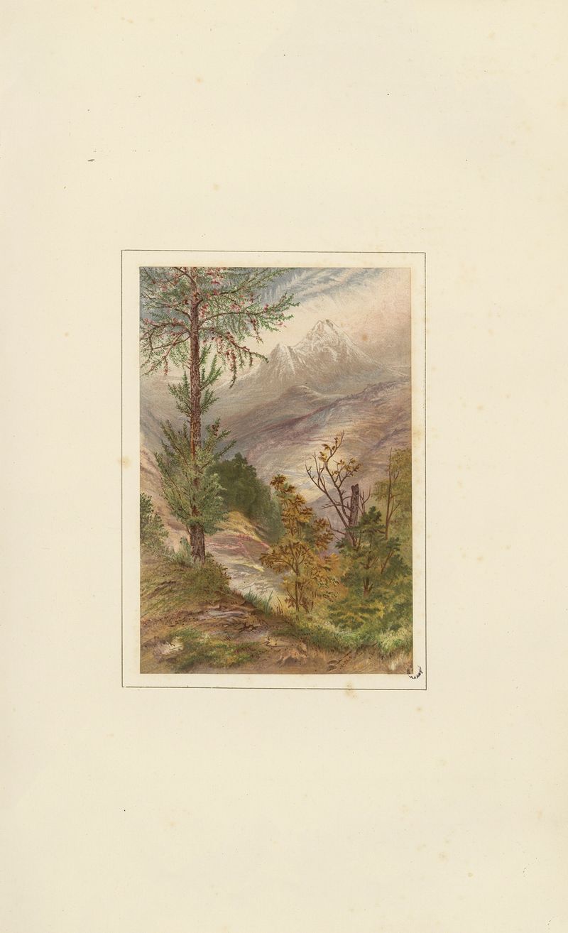 Pintura a óleo de Elijah Walton retratando um vale com árvores e luz etérea
