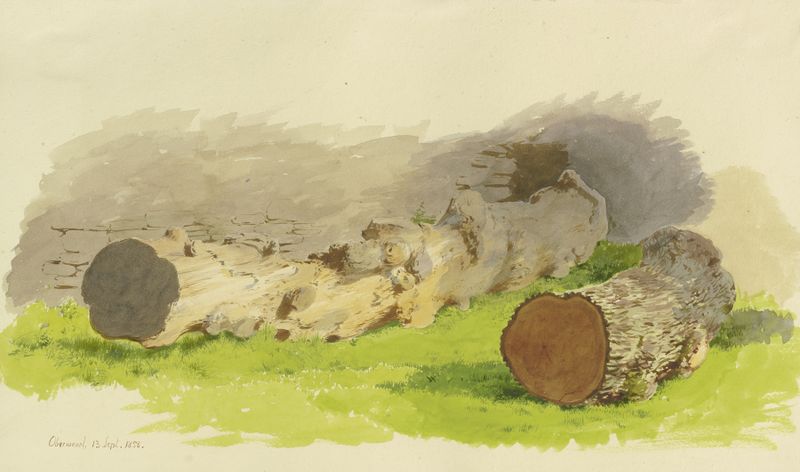Oil on canvas by Carl Theodor Reiffenstein depicting tree stumps and a stone wall.