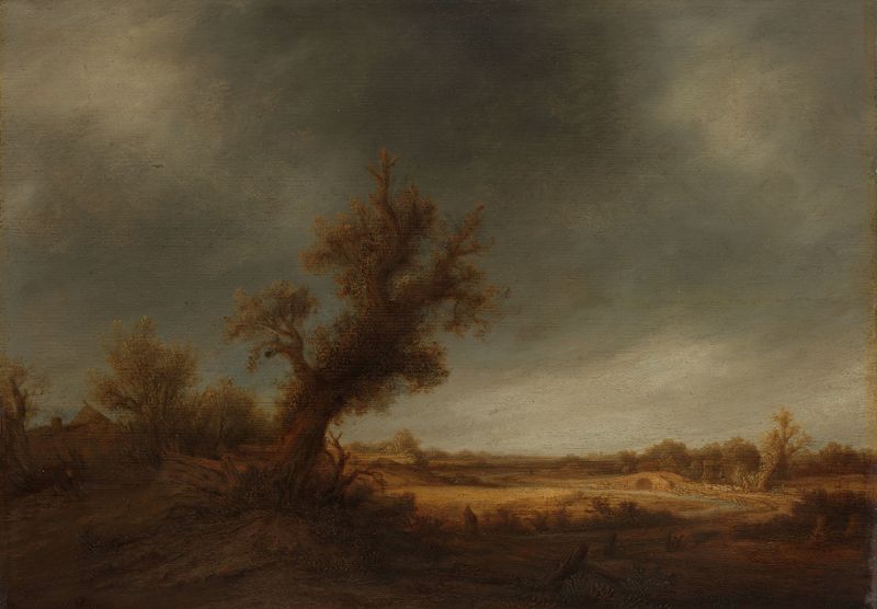 Paisagem com um velho carvalho, óleo sobre tela de Adriaen van Ostade