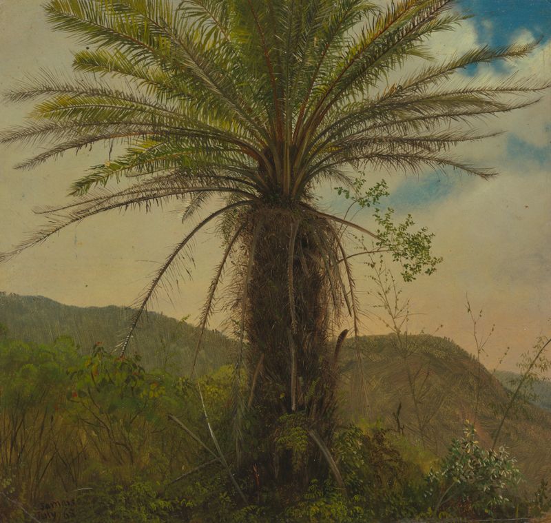 Tree Fern, Jamaica de Frederic Edwin Church, pintura al óleo que representa un exuberante follaje tropical.
