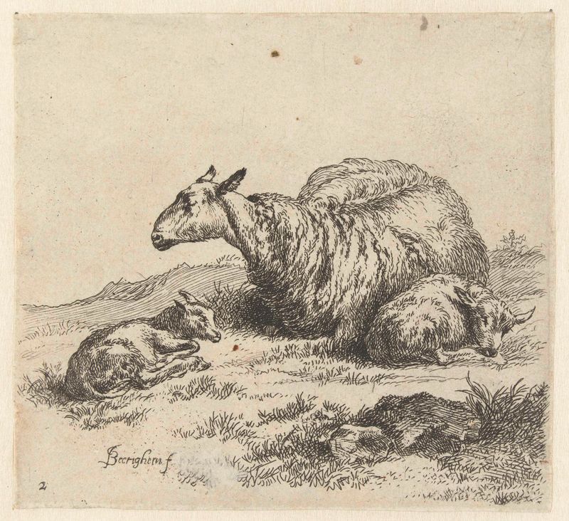 Oveja con dos corderos, grabado de Nicolaes Pietersz Berchem