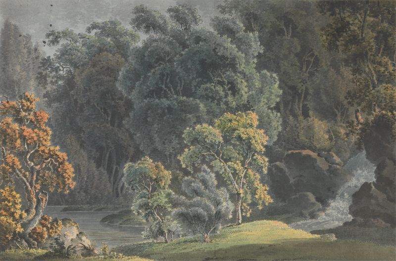 Cena de rio com cachoeira e altas árvores de J. S. Barth, pintura a óleo