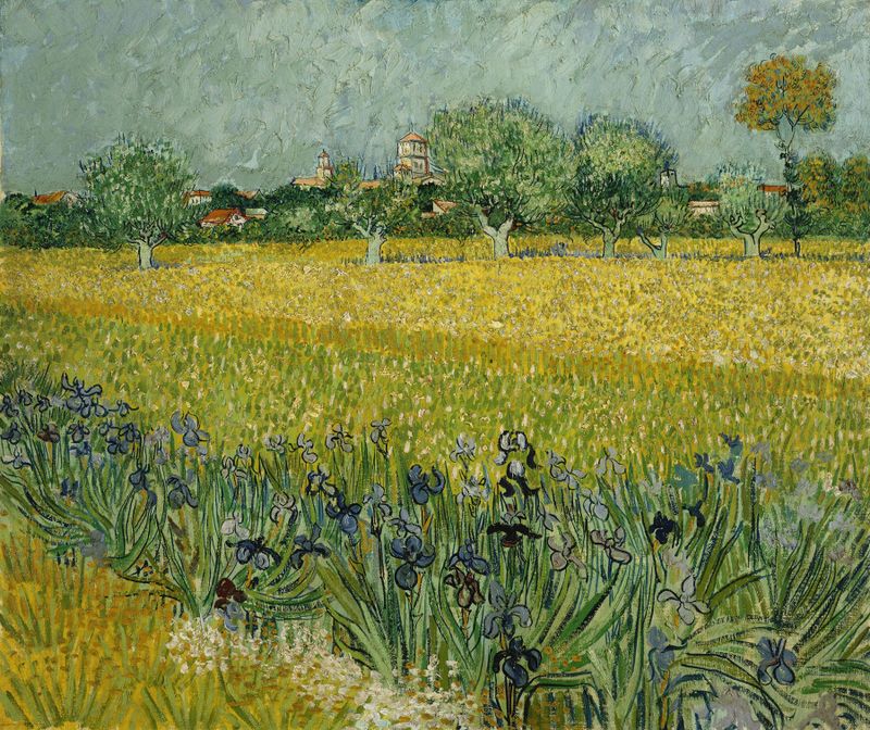 Campo con flores cerca de Arles, óleo sobre lienzo de Vincent van Gogh