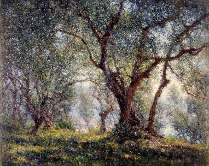 Les oliviers à Menton de Henry Brokman, óleo sobre lienzo que muestra olivos bajo la luz del sol