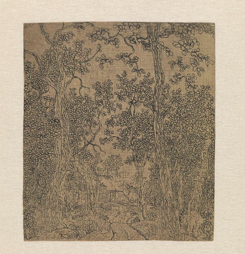 Pequena paisagem arborizada com uma estrada e uma casa, gravura de Hercules Segers