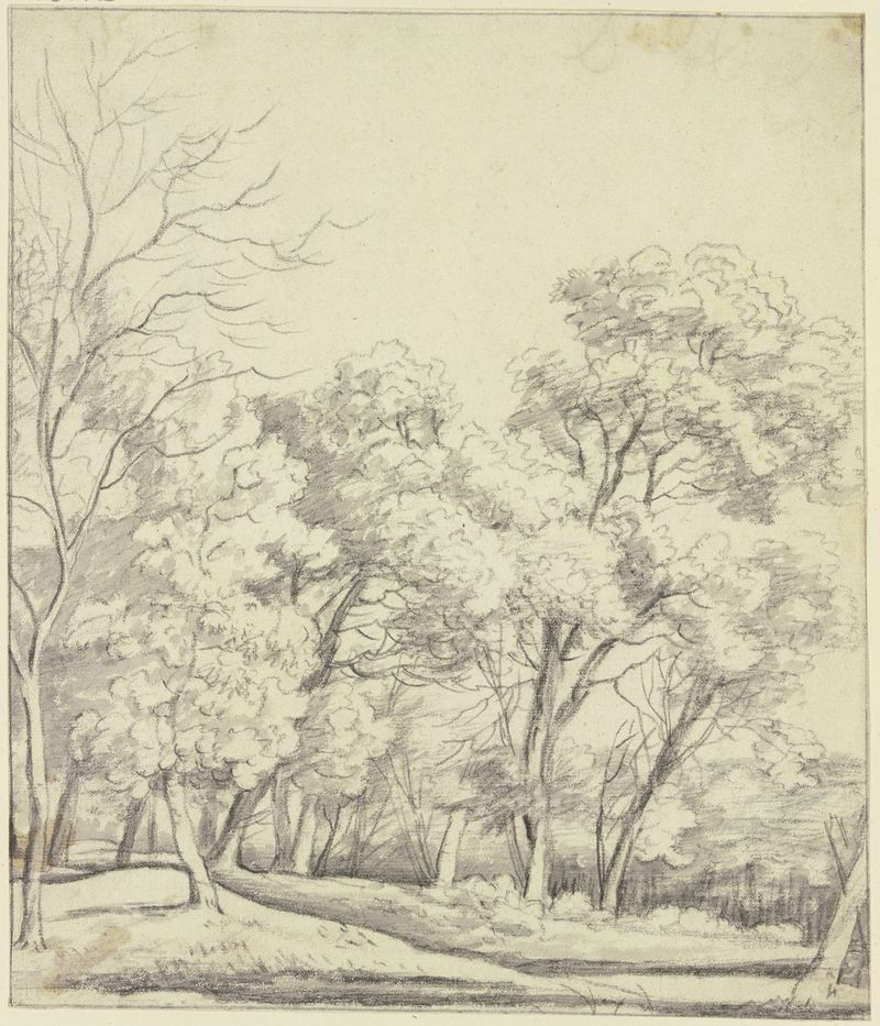 Forest section de Roelant Roghman, óleo sobre tela, retratando vegetação exuberante e jogo de luz.
