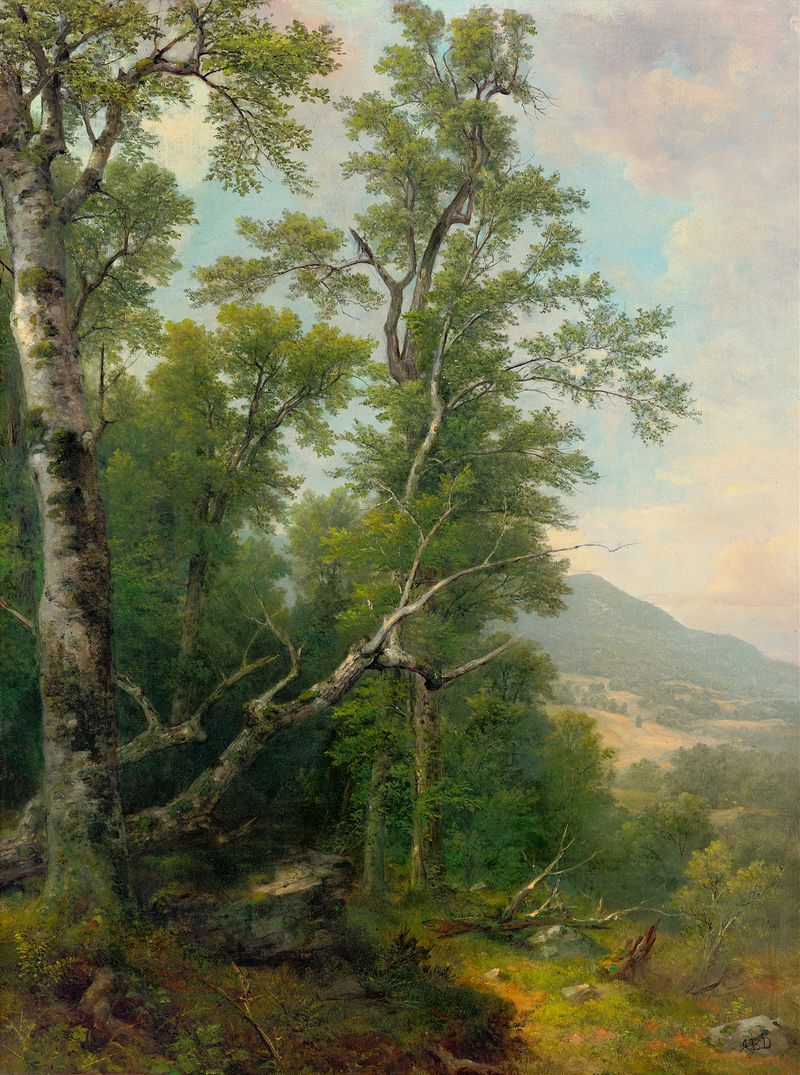 Study of Trees de Asher Brown Durand, óleo sobre lienzo que representa un árbol imponente.