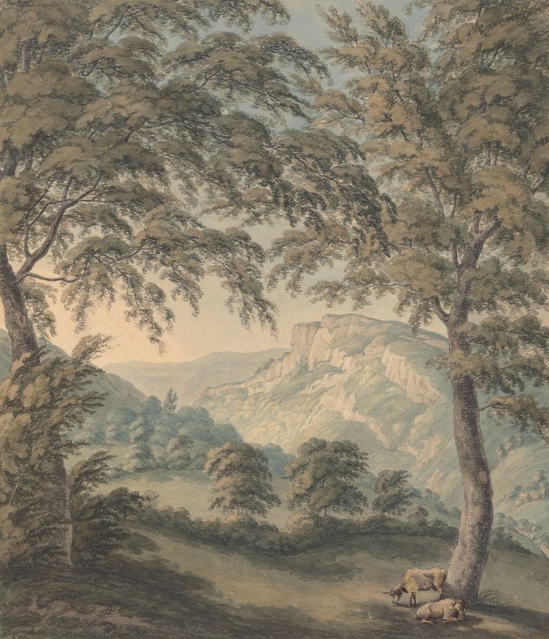 Paisagem de Matlock High Tor, Derbyshire por John Emes, pintura a óleo