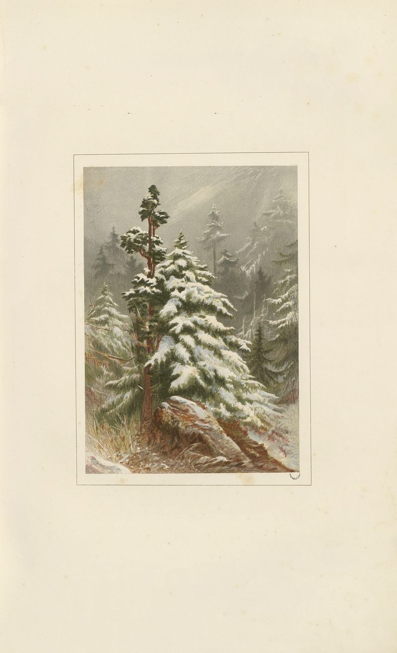 Paisaje invernal con copos de nieve de Elijah Walton, Romanticismo