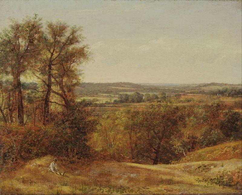 Paisaje de Dedham Vale de John Constable, pintura al óleo que presenta un río tranquilo y vegetación exuberante