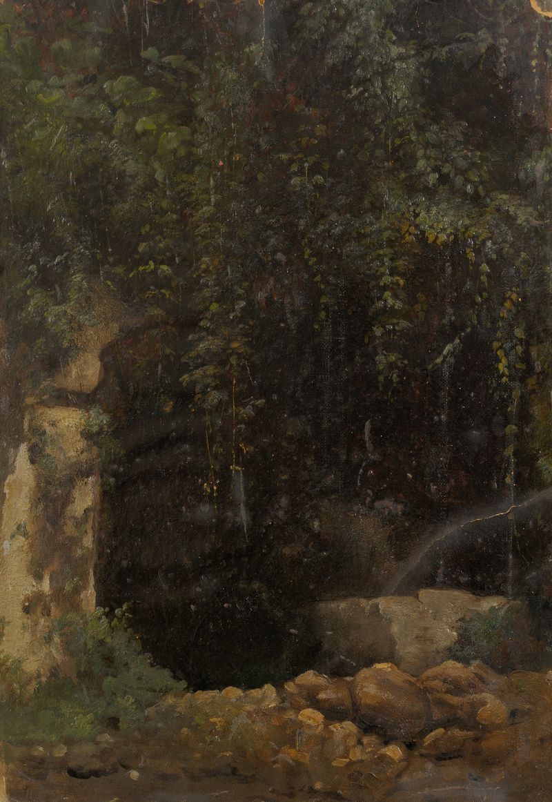 Paisagem com reflexo na água de Julie Wilhelmine Hagen-Schwarz