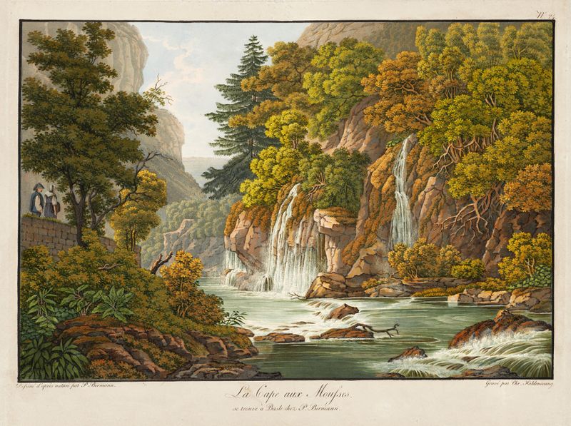 Paisagem com musgo e vegetação de Peter Birmann, pintura a óleo