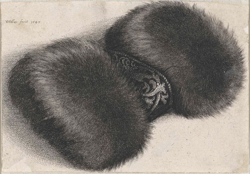 Brocado adornado com detalhes intrincados em uma gravura de Wenceslaus Hollar