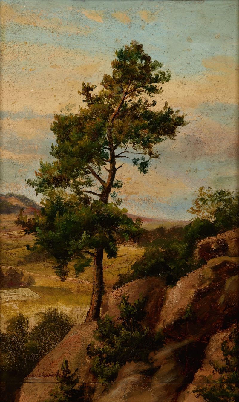Stone Pine by Henryk Grabiński, depicting a resilient tree against a dappled sky, medium unknown.