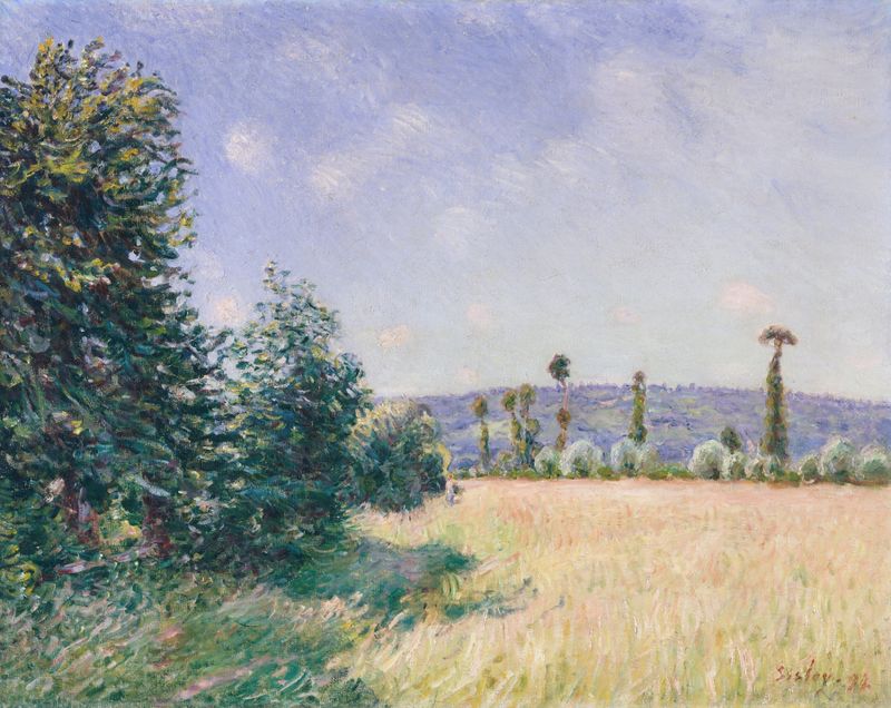 Sahurs Meadows in Morning Sun, óleo sobre tela de Alfred Sisley retratando um prado ensolarado com árvores.