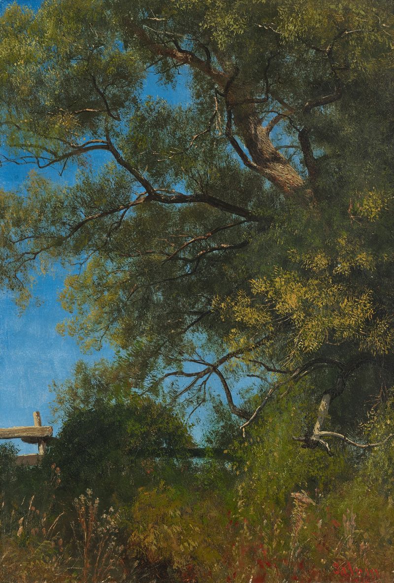 Salem, Oregon de Albert Bierstadt, óleo sobre tela representando montanhas e um rio ao amanhecer
