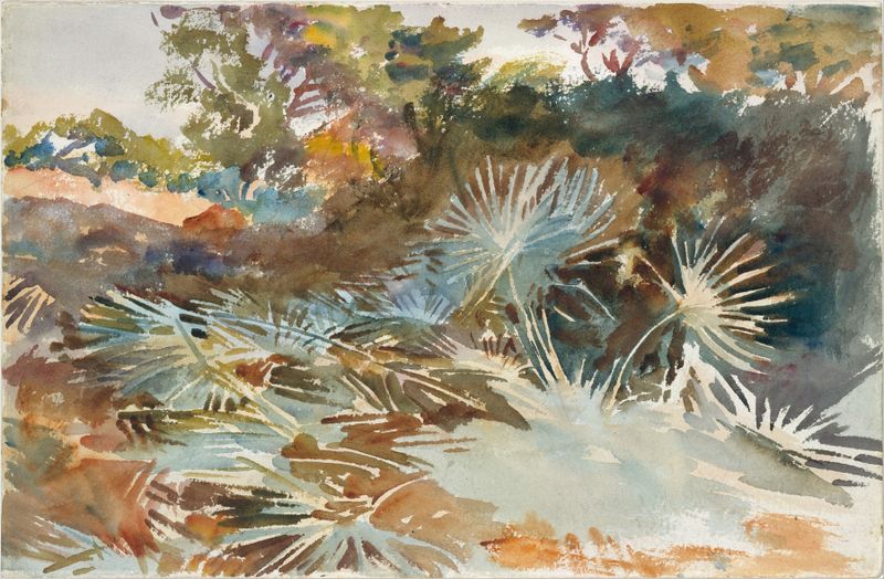 Landscape with Palmettos, óleo sobre lienzo de John Singer Sargent