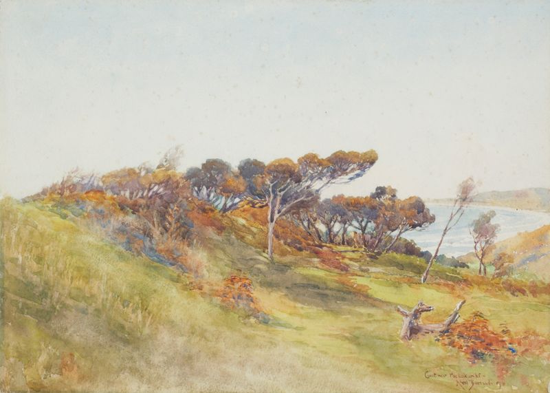 Coast near Paekakariki by Edward Barraud, oil painting depicting waves and coastline.